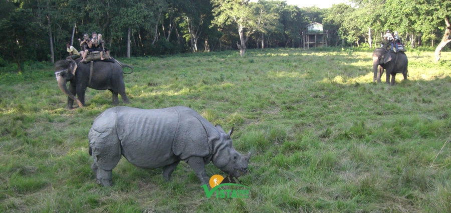 TOUR AL PARCO NAZIONALE DI CHITWAN