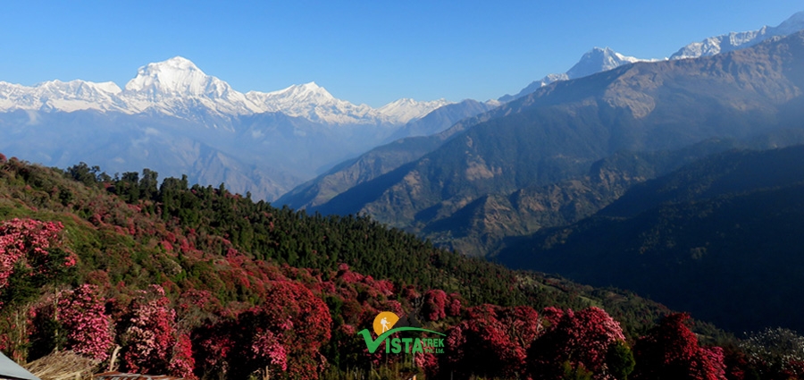 TREKKING A GHOREPANI/ POON HILL